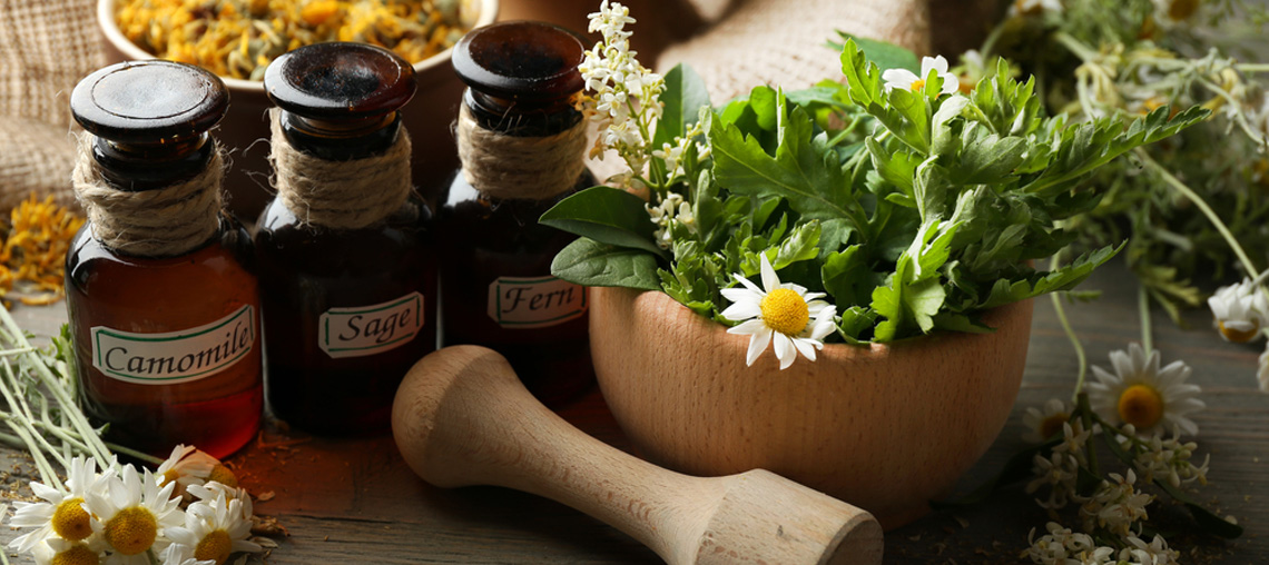 Phytotherapie für Kinder Praxis Dr. Stepahn Schoof