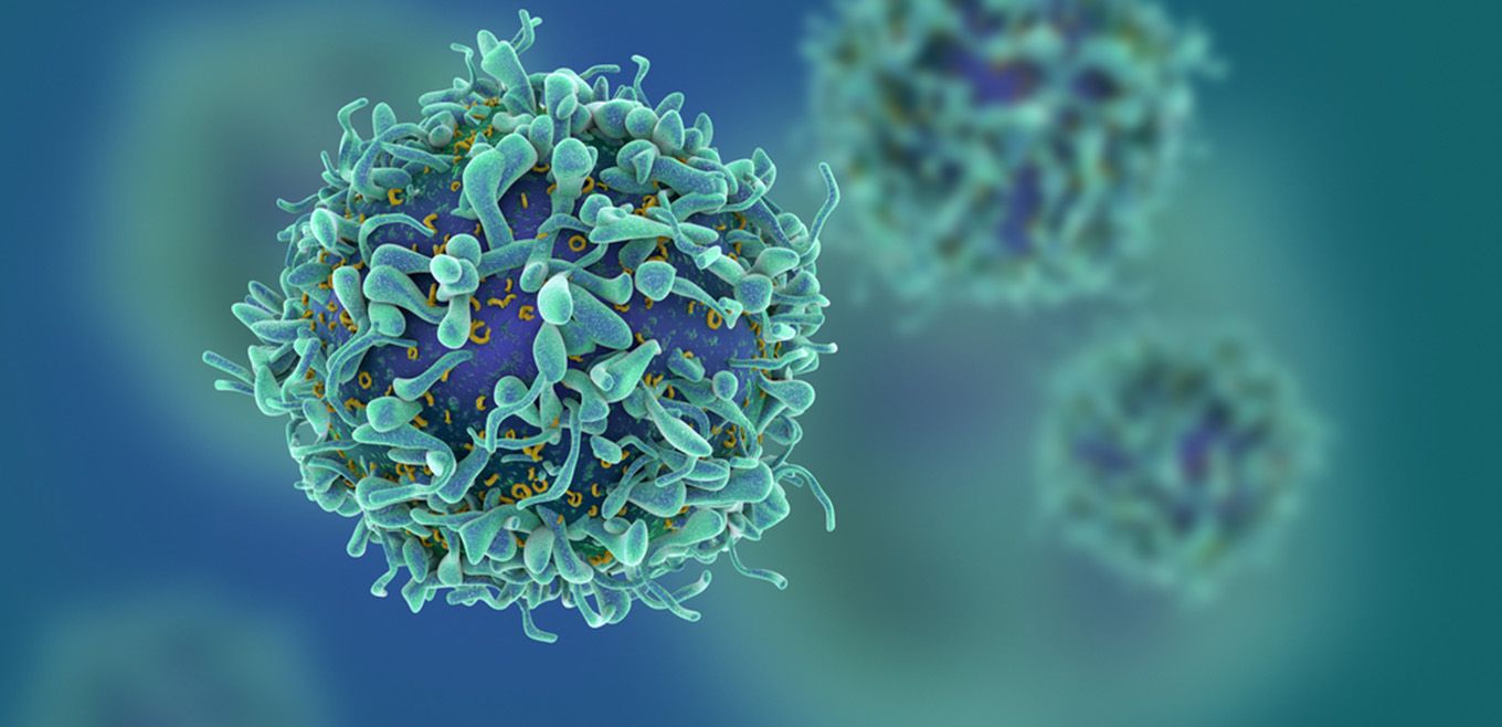 Mikrobiologische Diagnostik und Therapie Kinderarztpraxis Dr. Schoof